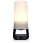 727780425020 Dual Alarm Clock Radios Lamp With Usb Port