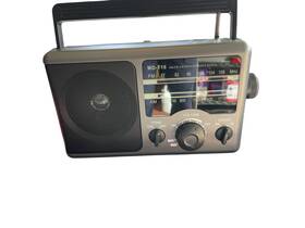 Jazmm 824941731355 Am/fm Portable Radio Battery Operated Or Ac. No Cord