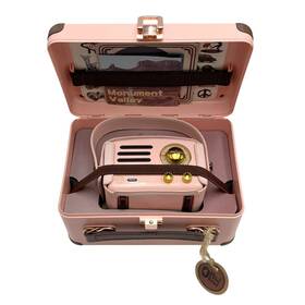 Mw-2ai Muzen Portable Fm Radio And Bluetooth Speaker Pink Complete
