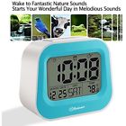 Sbests01 Nature Sounds Digital Alarm 700355111344