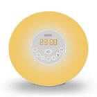 T001562345 Sztook New Gift Sunrise