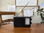 Sony ICF-506 Analog Tuning Portable Fm/am Radio. Fixed Price $19.99.