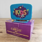 Saregama Carvaan Mini Kids Pre-loaded With Stories, Rhymes, Learnings, Mantras. Fixed Price $53.99.