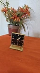 Vintage Lexon Rosemount Desk Alarm Clock 15JEWELS Geneva Switzerland Working. Fixed Price $109.00.