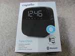 Capello Tune Dual Alarm Clock Wireless Speaker Fm Radio Usb Phone Charger CR60. Fixed Price $29.98.