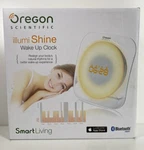 Oregon Scientific Illumi Shine Wale Up Clock WL388. Fixed Price $50.00.