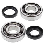 Main Crank Shaft Bearing & Seal For Yamaha WR200 92. Fixed Price $127.28.