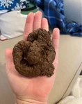 High Quality Fake Poop Realistic Doggy Doo Dirt Joke Gag Crap Pile. Fixed Price $11.95.