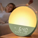 Gentle Wake-up Sunrise Alarm Clock: 10-60 Min Gradual Light, 20-LEVEL Brightn.... Fixed Price $74.39.