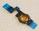 New Apple Oem Internal Home Button Connector Flex Cable Part For Iphone 5C. Fixed Price $6.99.