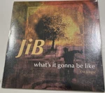 Promo Sealed Jason Ingram Band 1998 Radio Single To What It Gonna Be Like !. Fixed Price $24.99.
