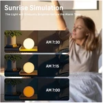 Sunrise Simulation Clock, Dual Alarms, Fm Radio. Fixed Price $69.59.