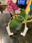 Vintage Toshiba RP-2030 Compact Folding Am Fm Stereo Headphones Works Rare. Fixed Price $99.99.